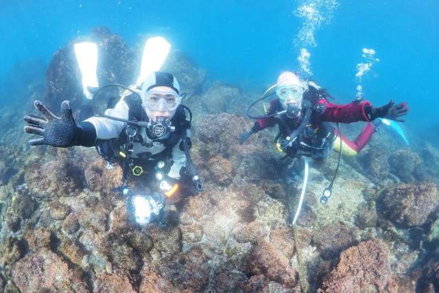 ダイビングショップ   ホクレア湘南【平塚市】